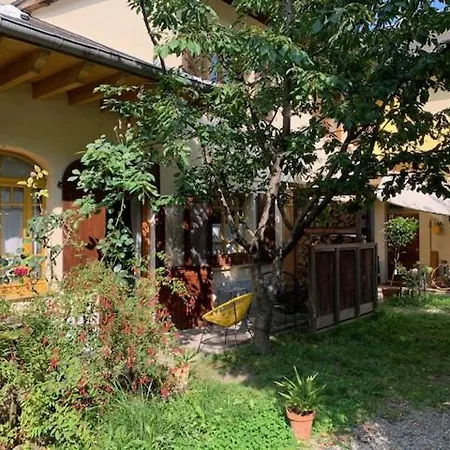 Sur Cour, Le Cerisier * Bagnères-de-Bigorre