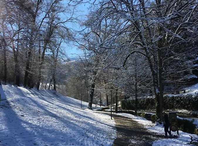 Sur Cour, Le Cerisier