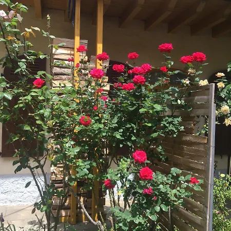 Sur Cour, Le Cerisier * Баньер-де-Бигор