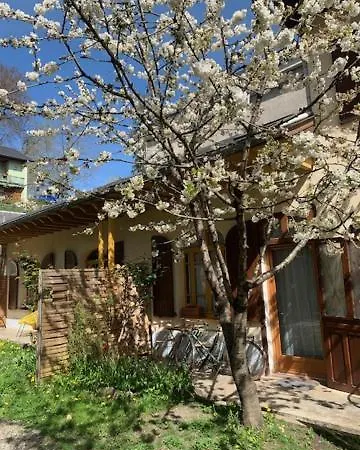 Sur Cour, Le Cerisier Баньер-де-Бигор