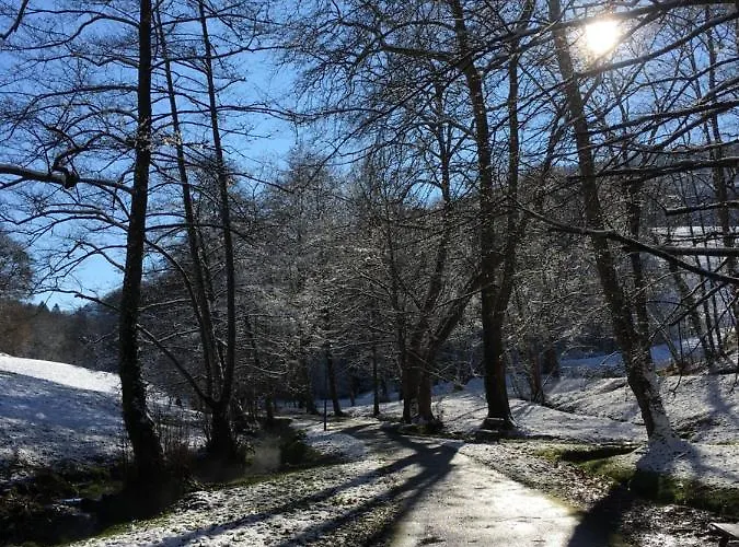 アパート Sur Cour, Le Cerisier