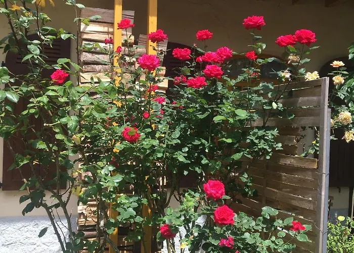 Sur Cour, Le Cerisier * バニエール・ド・ビゴール