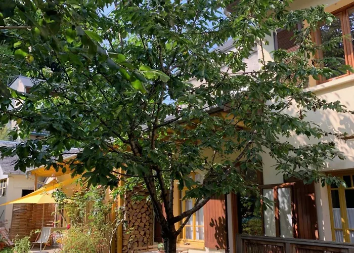 Lejlighed Sur Cour, Le Cerisier