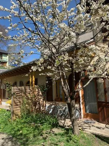 Sur Cour, Le Cerisier Bagnères-de-Bigorre